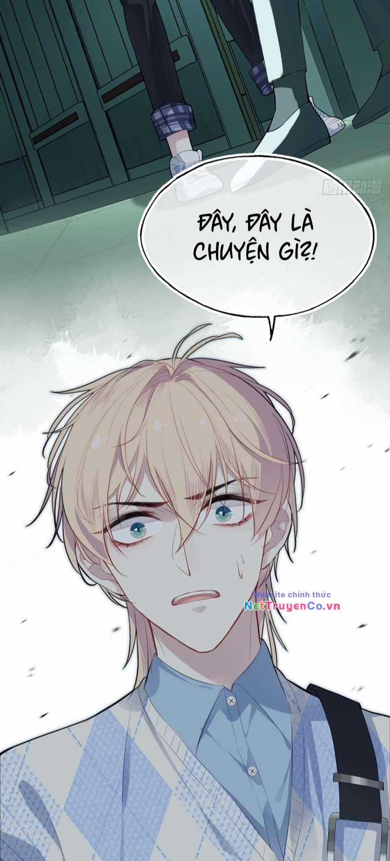 Anh Ấy Chưa Từng Rơi Xuống Chapter 20 trang 40