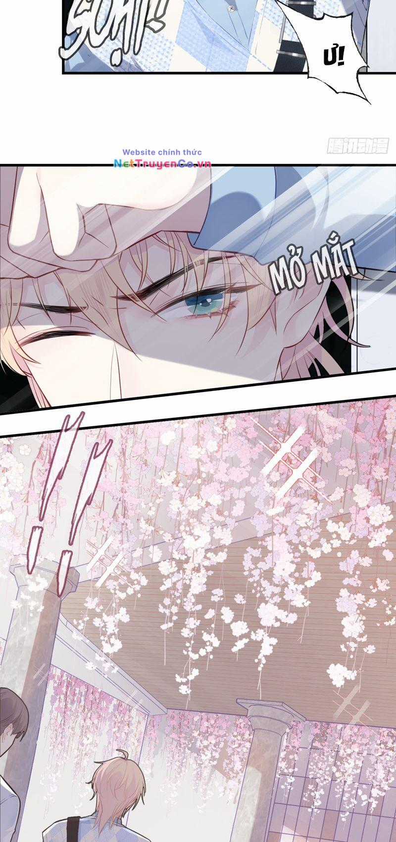 Anh Ấy Chưa Từng Rơi Xuống Chapter 31 trang 20