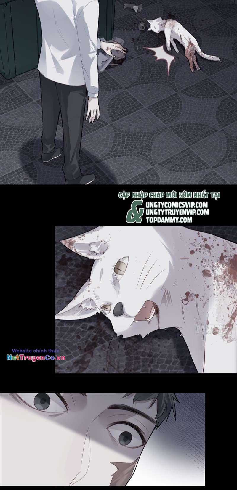 Anh Ấy Chưa Từng Rơi Xuống Chapter 35 trang 15