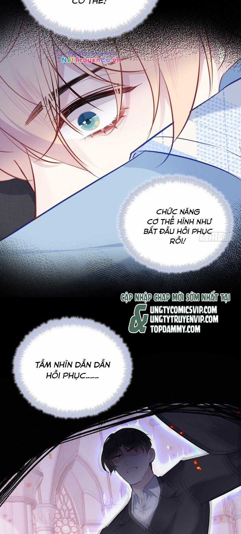 Anh Ấy Chưa Từng Rơi Xuống Chapter 37 trang 3