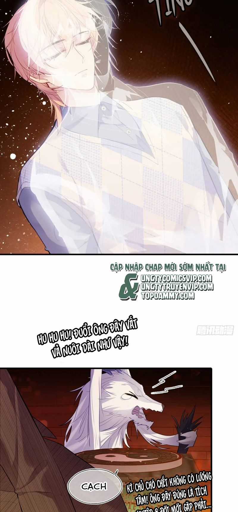 Anh Ấy Chưa Từng Rơi Xuống Chapter 41 trang 16