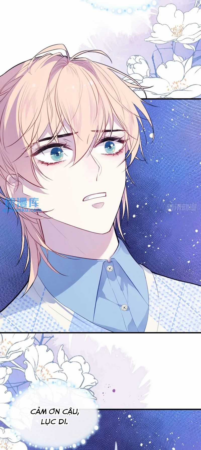 Anh Ấy Chưa Từng Rơi Xuống Chapter 46 trang 19