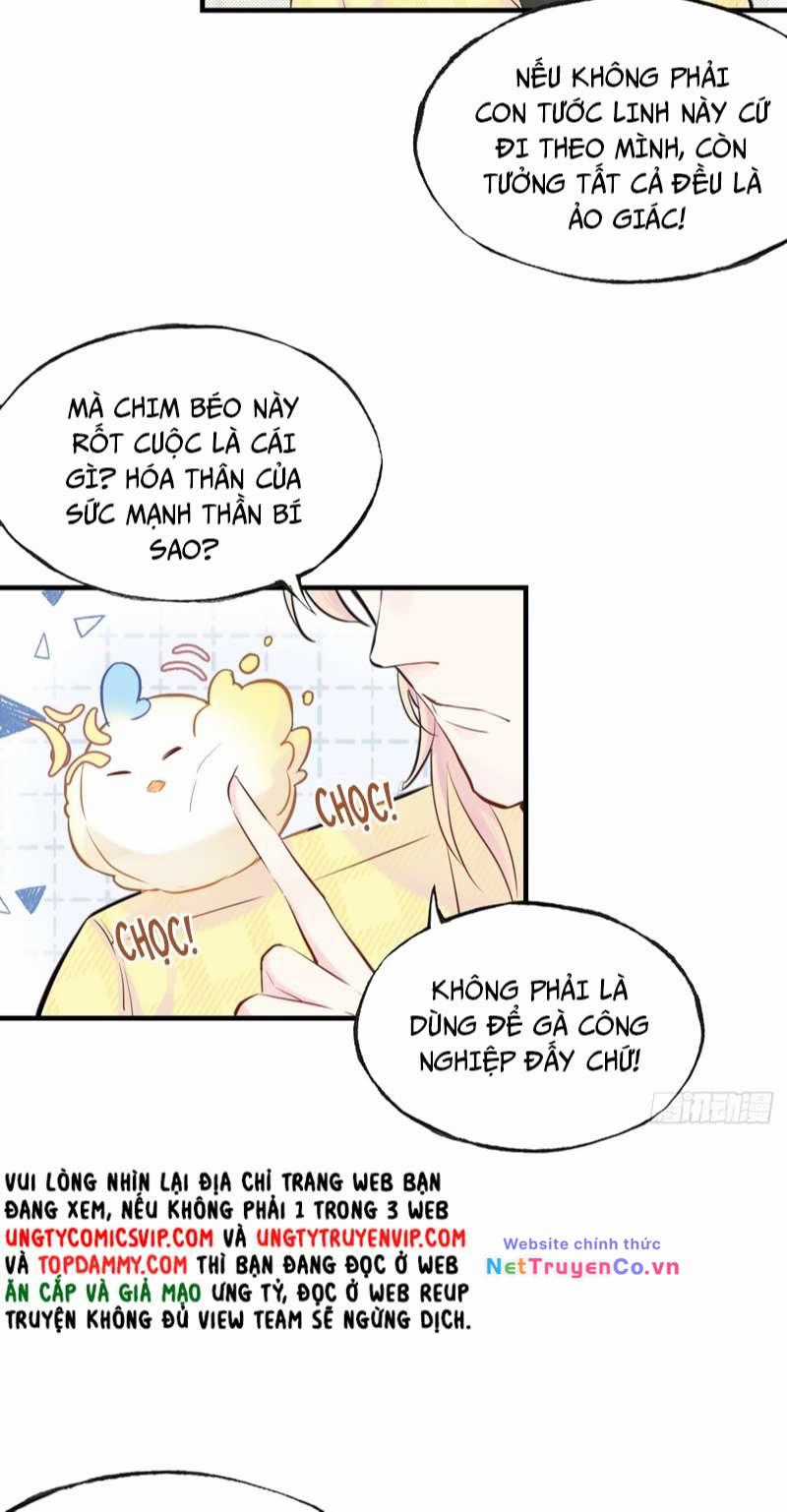 Anh Ấy Chưa Từng Rơi Xuống Chapter 5 trang 8