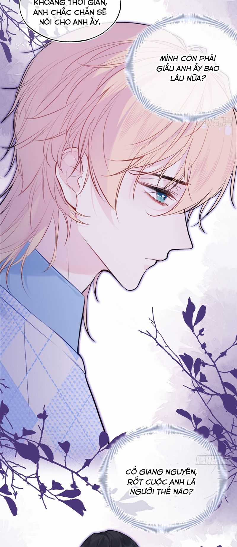 Anh Ấy Chưa Từng Rơi Xuống Chapter 56 trang 15