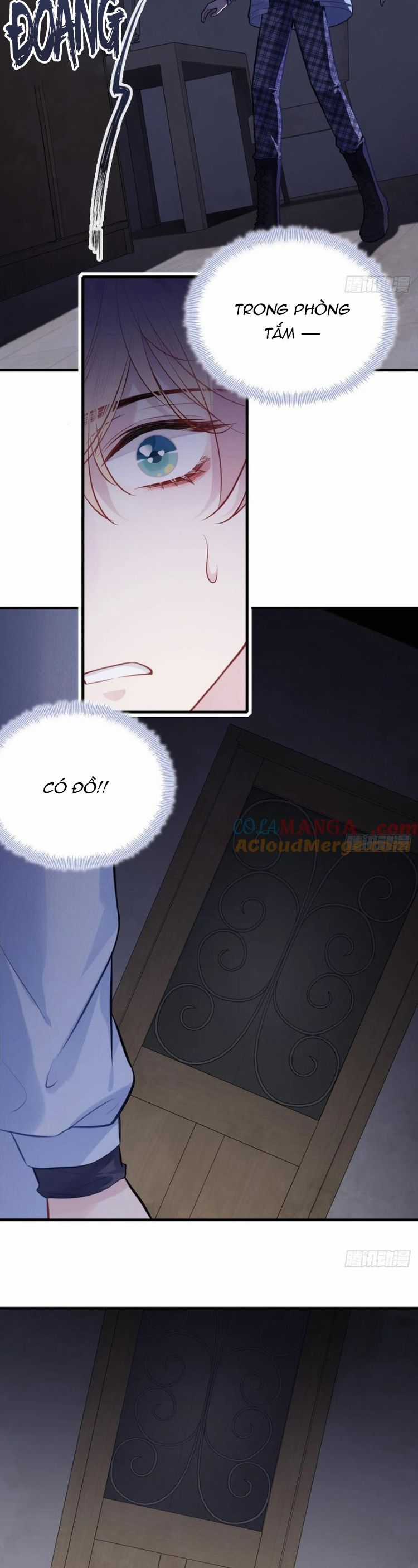 Anh Ấy Chưa Từng Rơi Xuống Chapter 70 trang 15