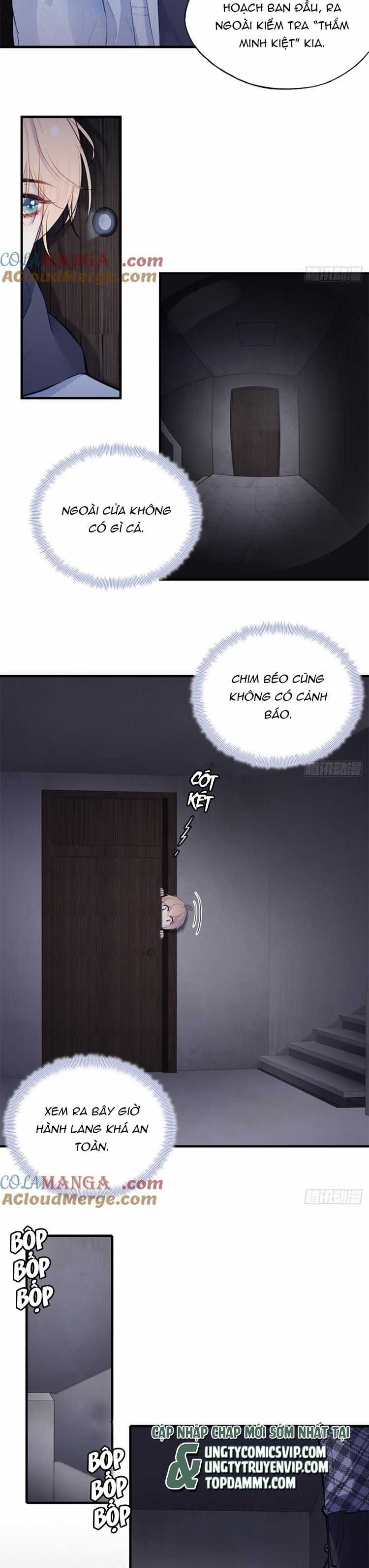 Anh Ấy Chưa Từng Rơi Xuống Chapter 73 trang 4