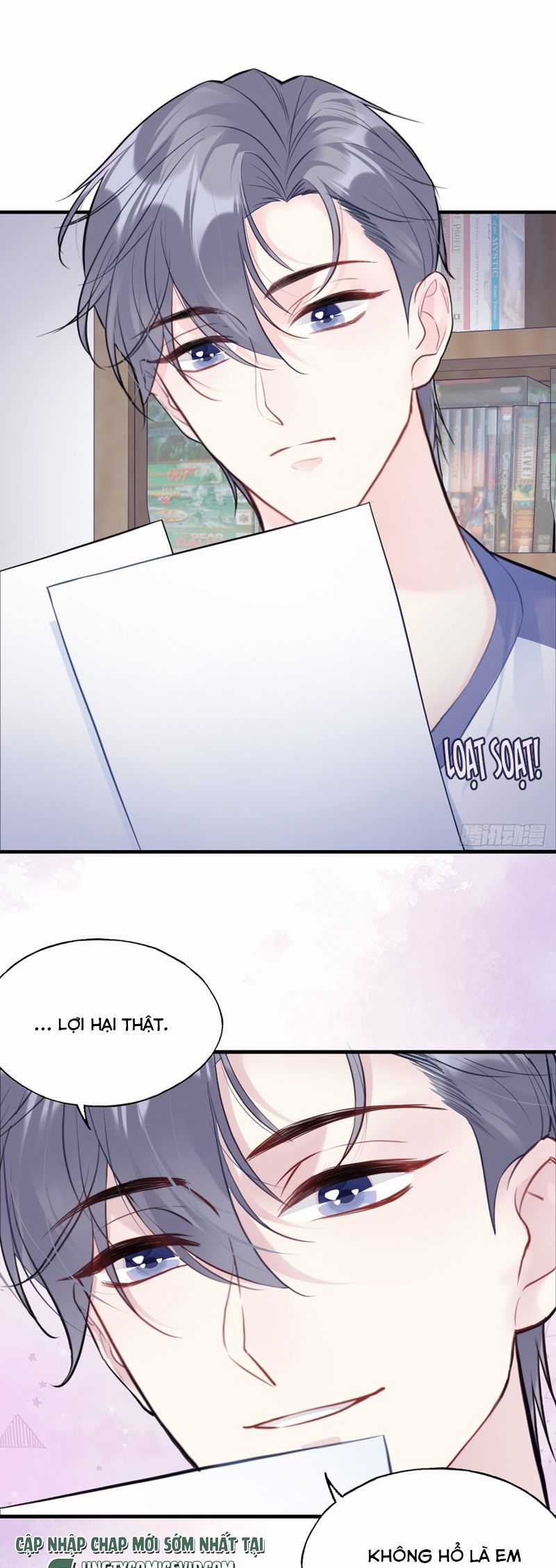 Anh Ấy Chưa Từng Rơi Xuống Chapter 77 trang 12