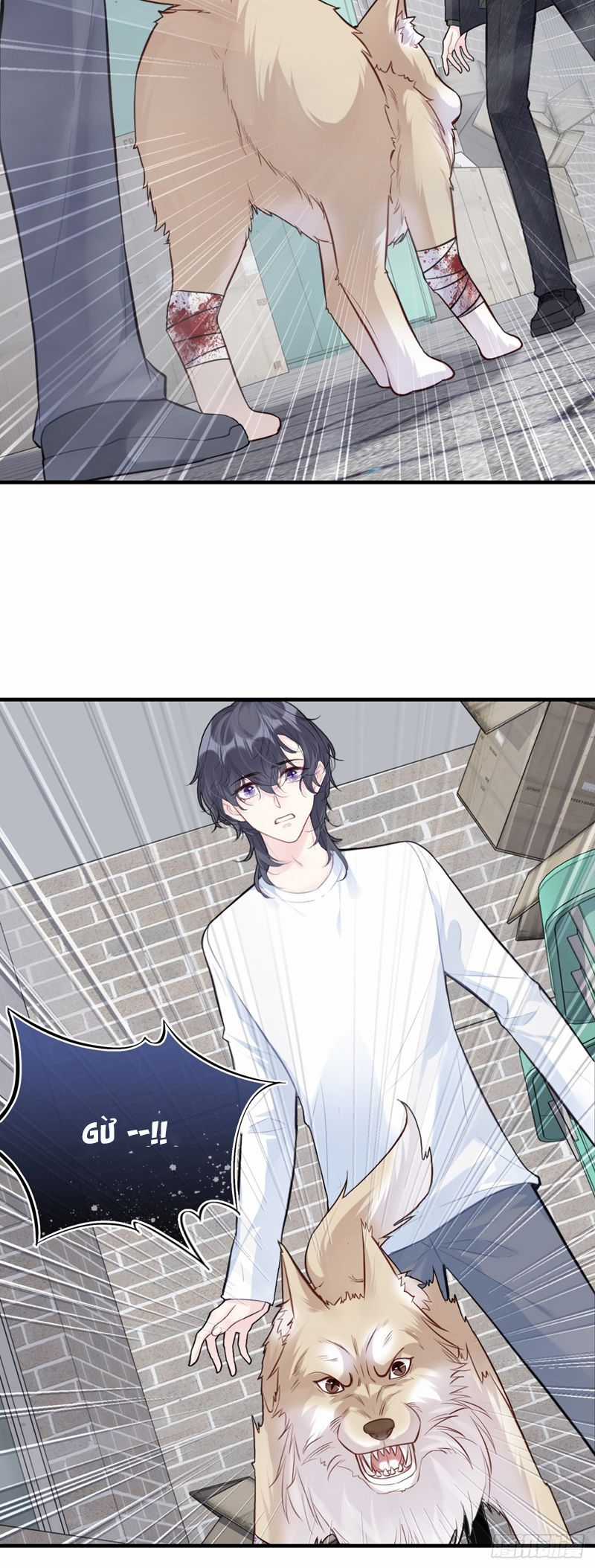 Anh Ấy Chưa Từng Rơi Xuống Chapter 78 trang 13