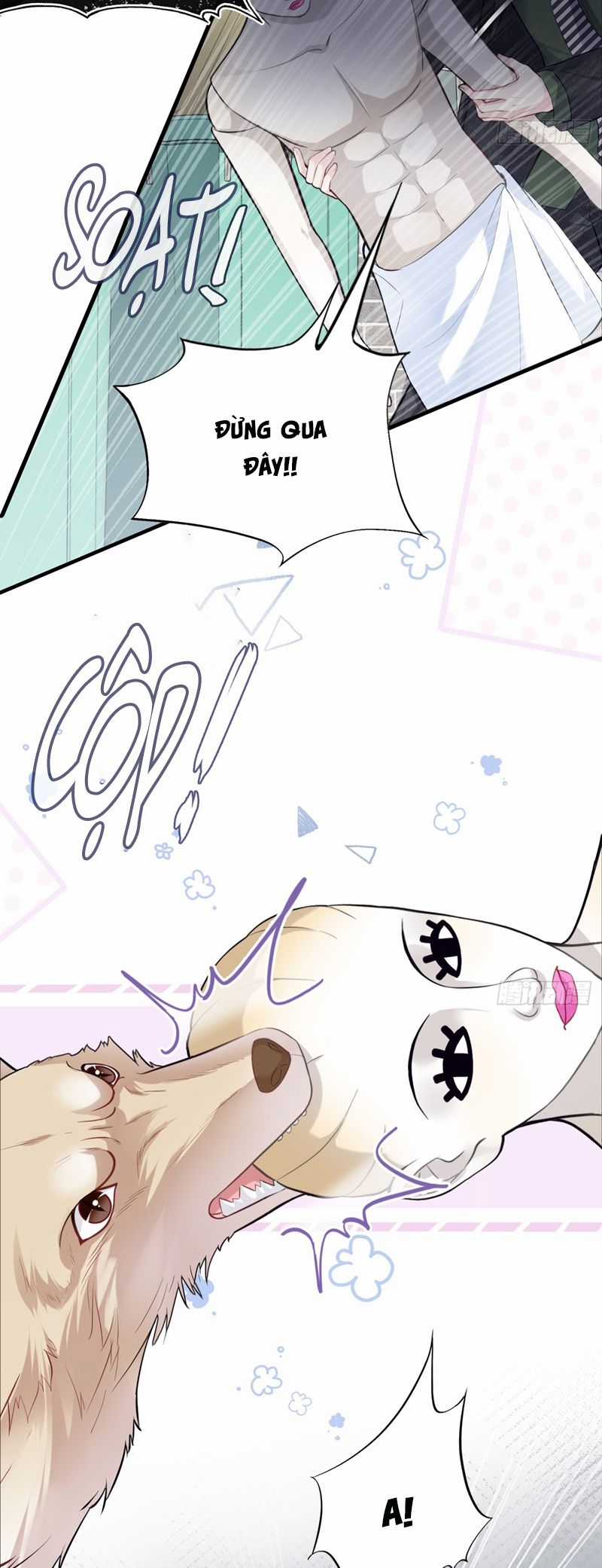 Anh Ấy Chưa Từng Rơi Xuống Chapter 78 trang 15