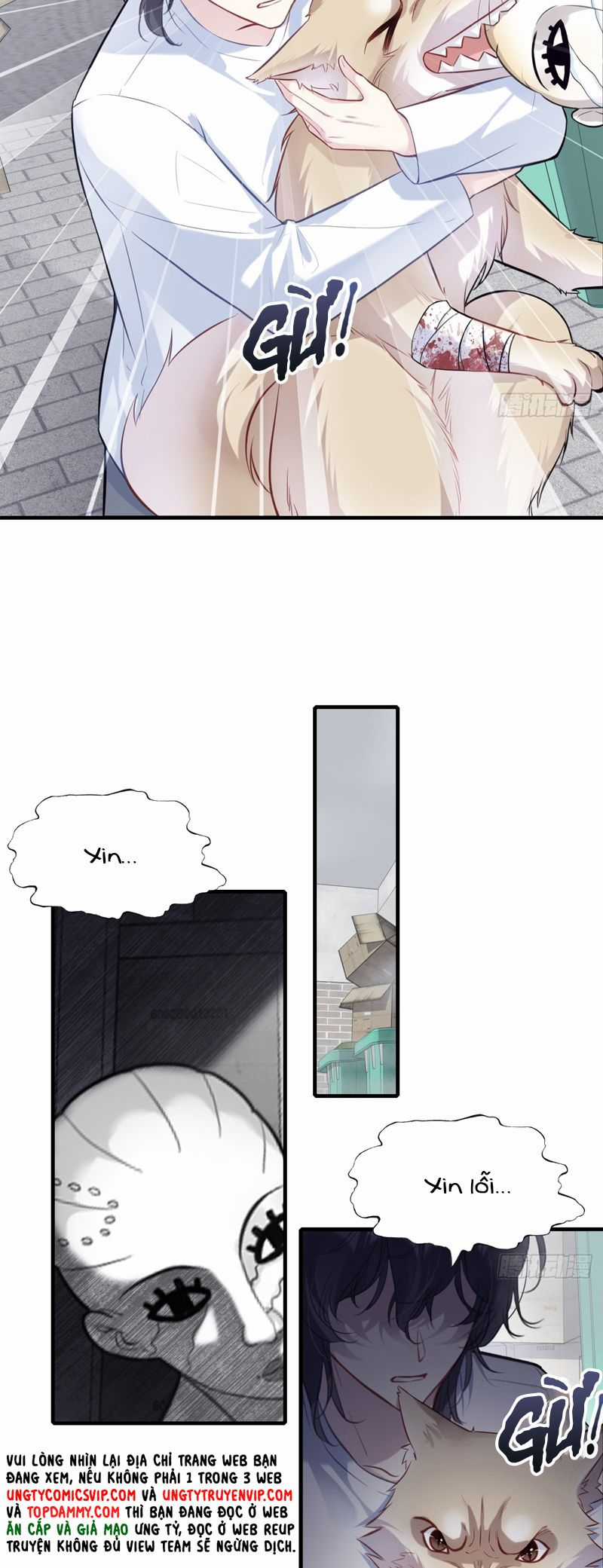 Anh Ấy Chưa Từng Rơi Xuống Chapter 78 trang 17