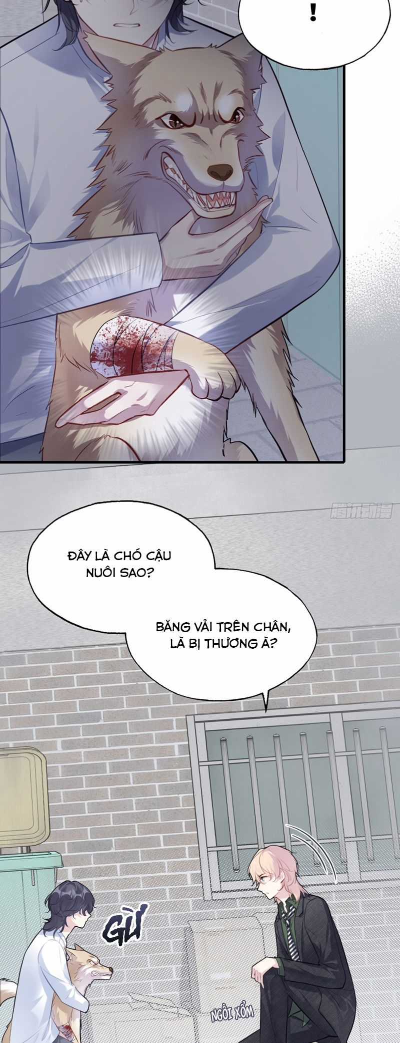 Anh Ấy Chưa Từng Rơi Xuống Chapter 78 trang 22