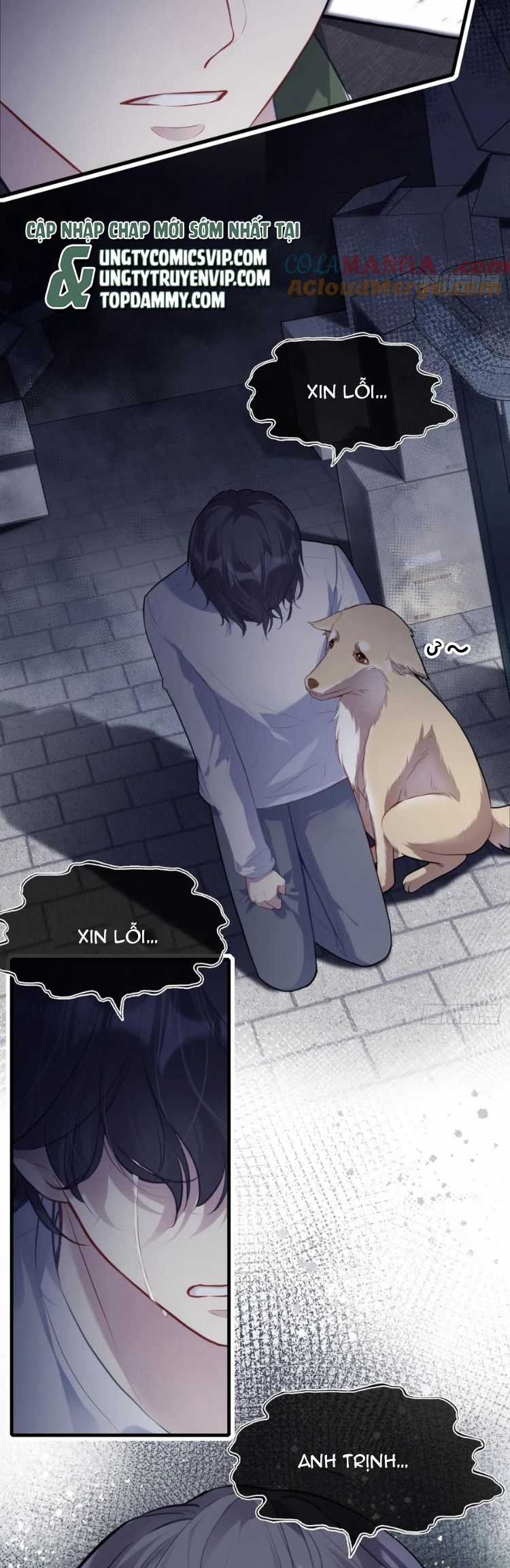 Anh Ấy Chưa Từng Rơi Xuống Chapter 79 trang 10