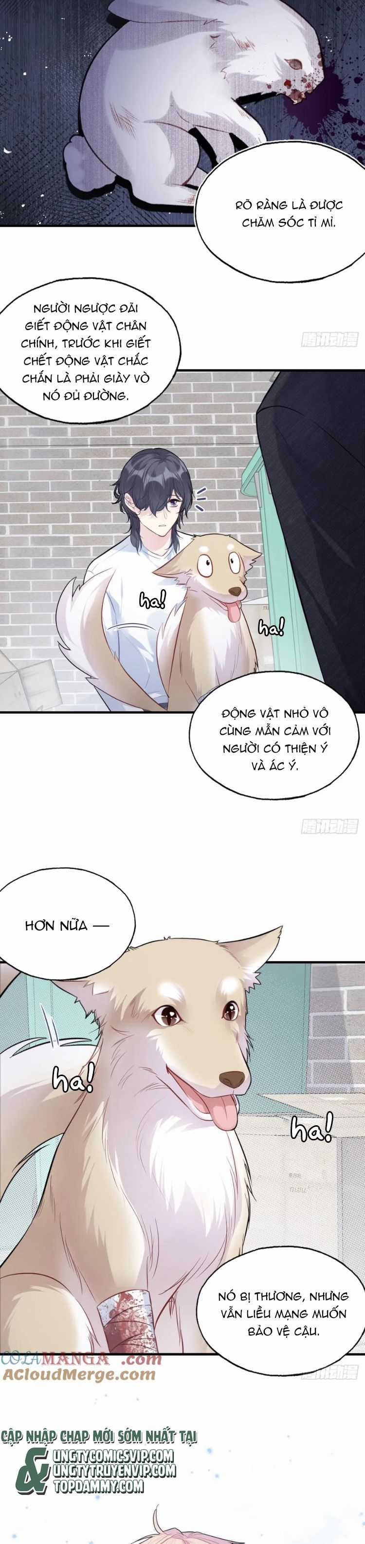 Anh Ấy Chưa Từng Rơi Xuống Chapter 79 trang 3