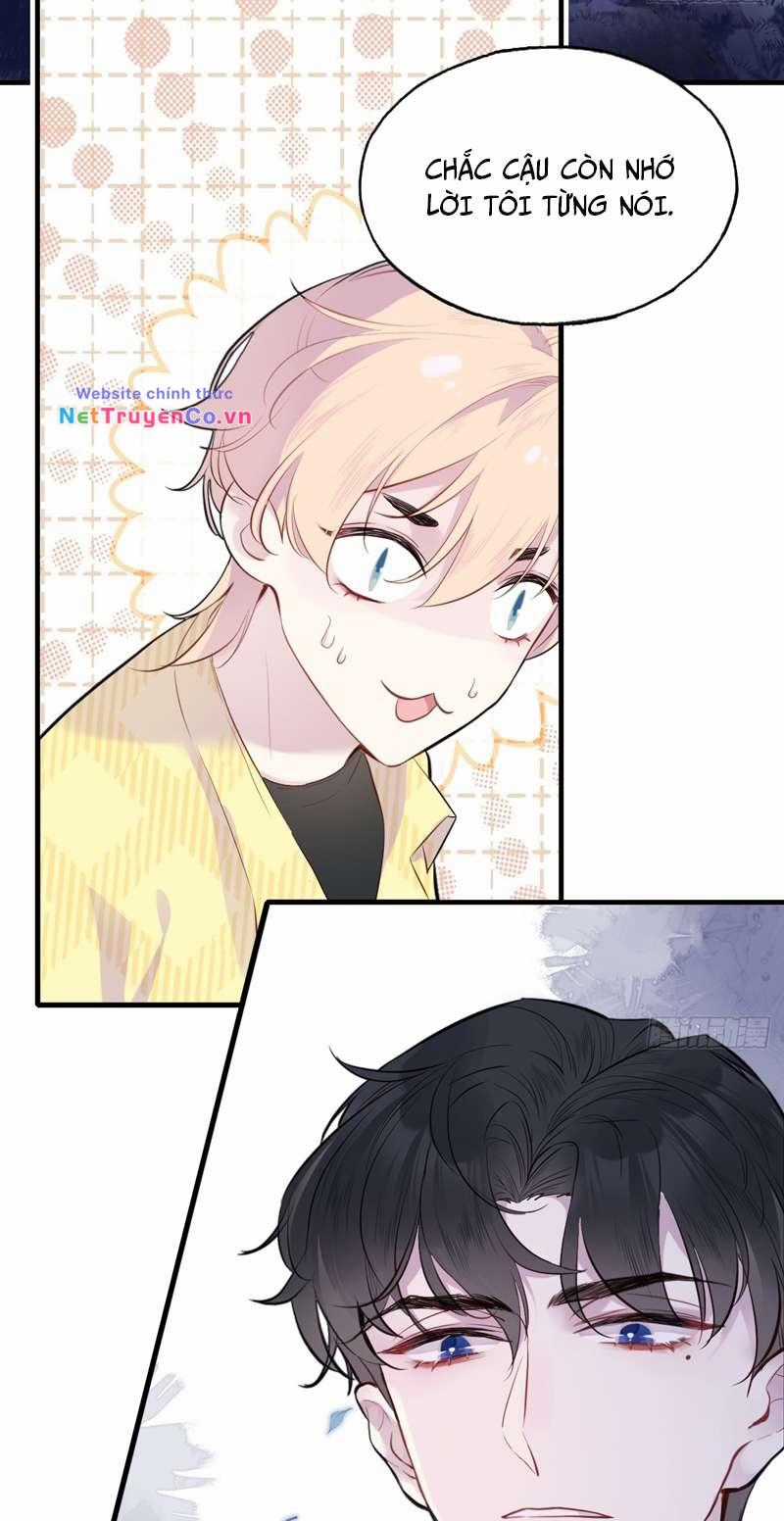 Anh Ấy Chưa Từng Rơi Xuống Chapter 8 trang 3