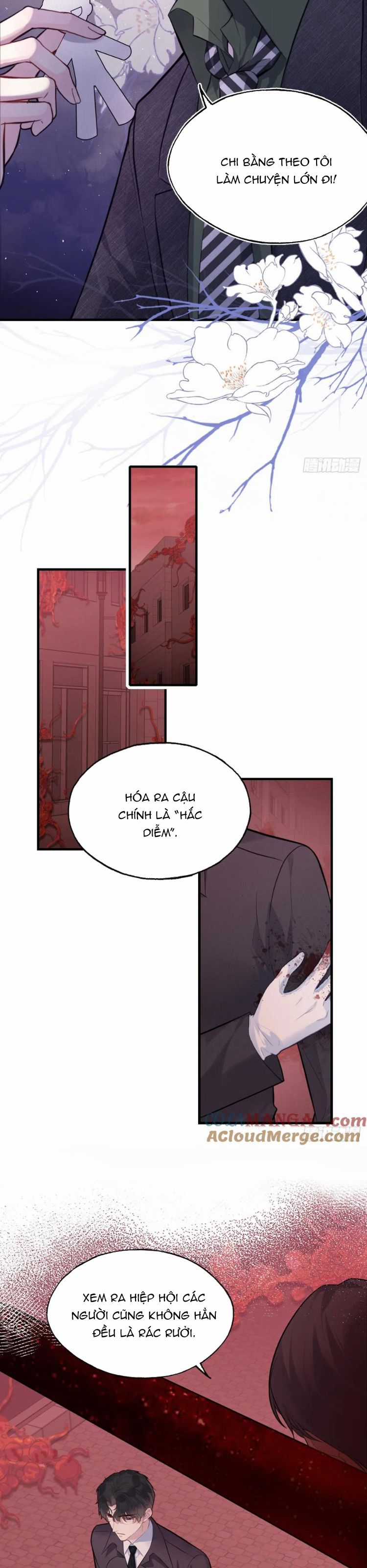 Anh Ấy Chưa Từng Rơi Xuống Chapter 80 trang 15