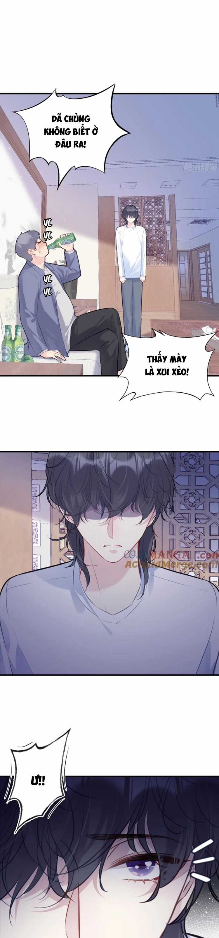 Anh Ấy Chưa Từng Rơi Xuống Chapter 81 trang 4