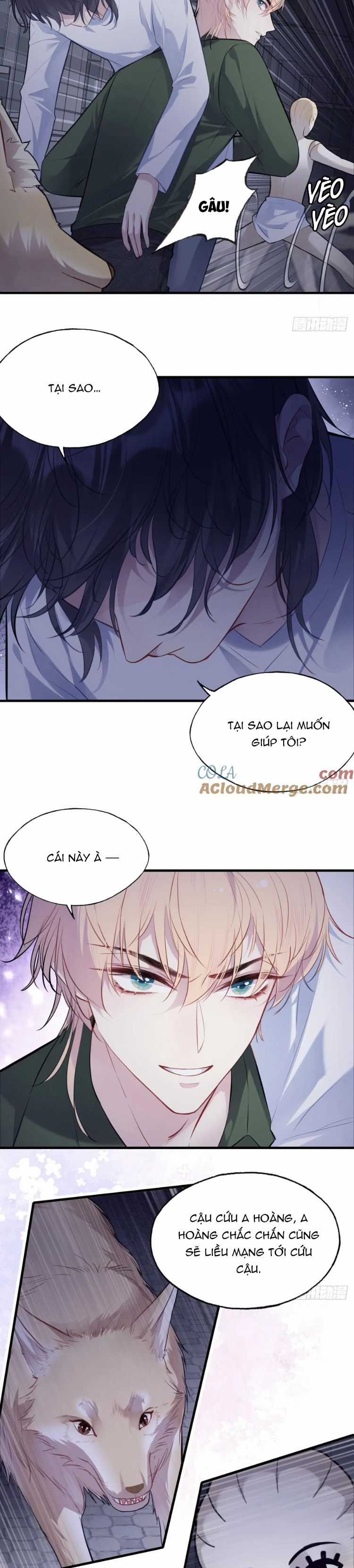 Anh Ấy Chưa Từng Rơi Xuống Chapter 82 trang 11