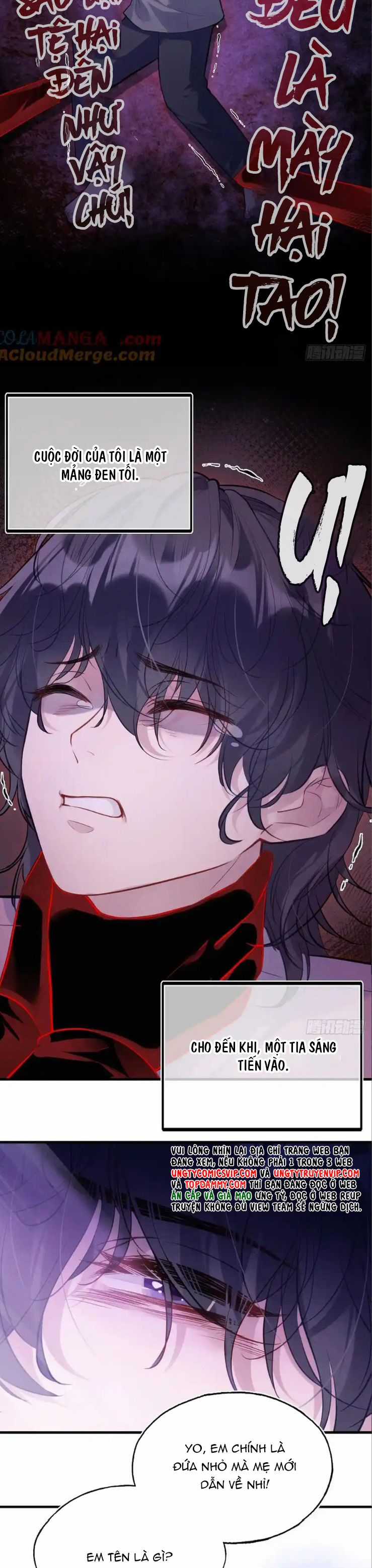 Anh Ấy Chưa Từng Rơi Xuống Chapter 83 trang 8