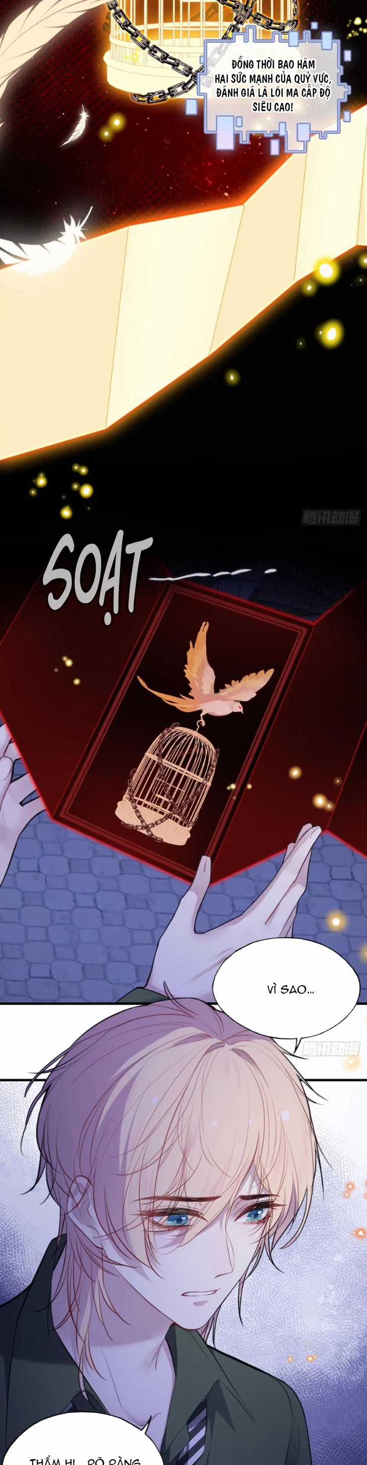 Anh Ấy Chưa Từng Rơi Xuống Chapter 85 trang 13