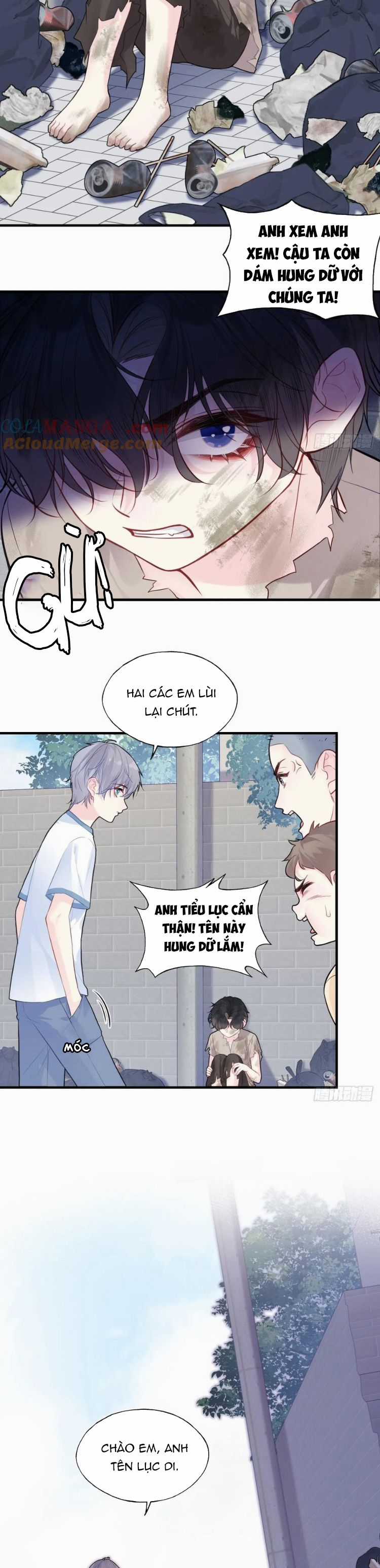 Anh Ấy Chưa Từng Rơi Xuống Chapter 86 trang 14