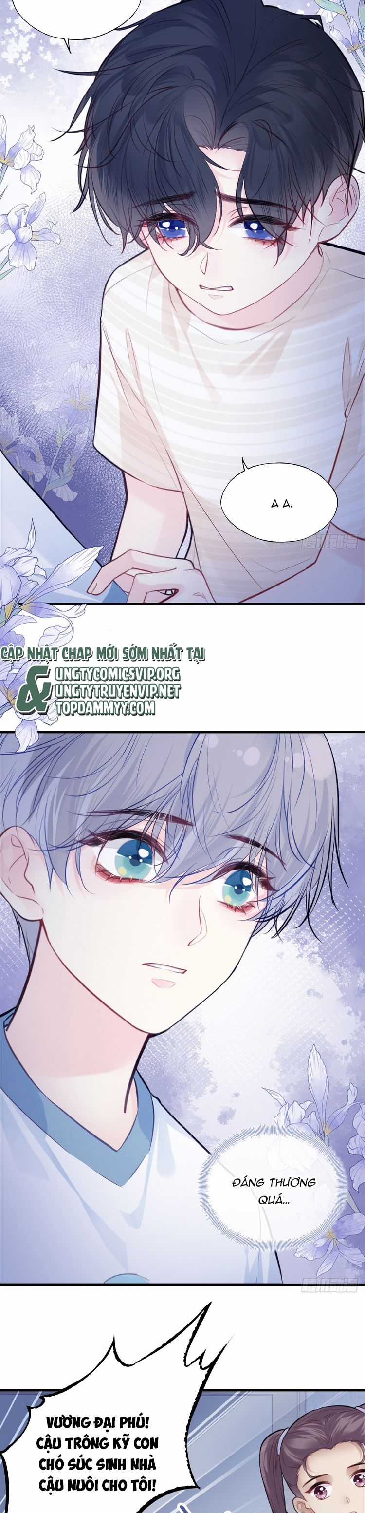 Anh Ấy Chưa Từng Rơi Xuống Chapter 87 trang 15