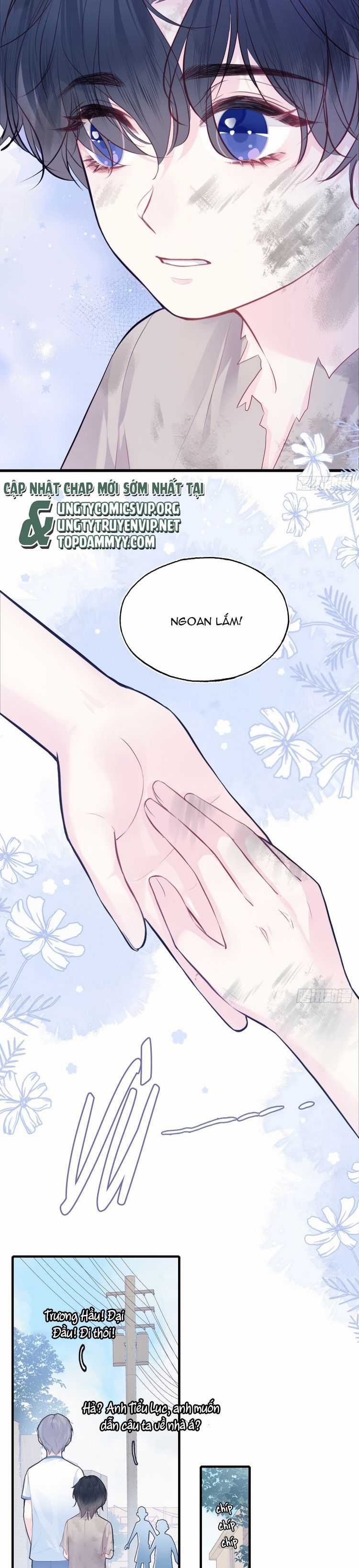 Anh Ấy Chưa Từng Rơi Xuống Chapter 87 trang 4