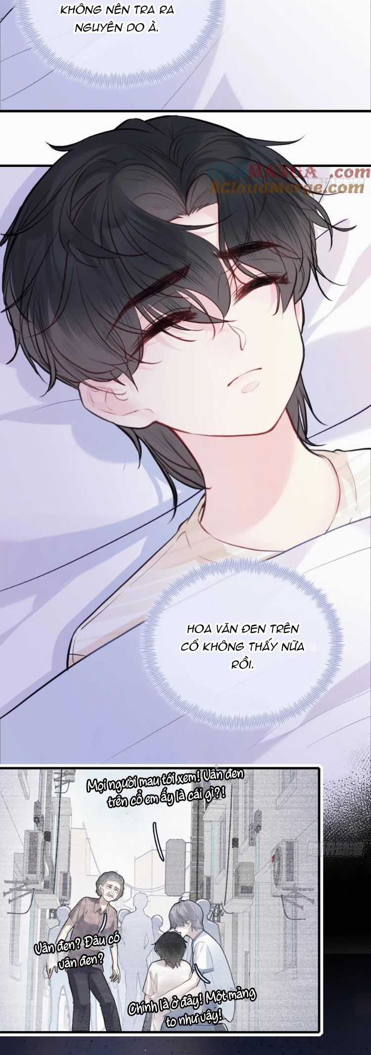 Anh Ấy Chưa Từng Rơi Xuống Chapter 89 trang 12