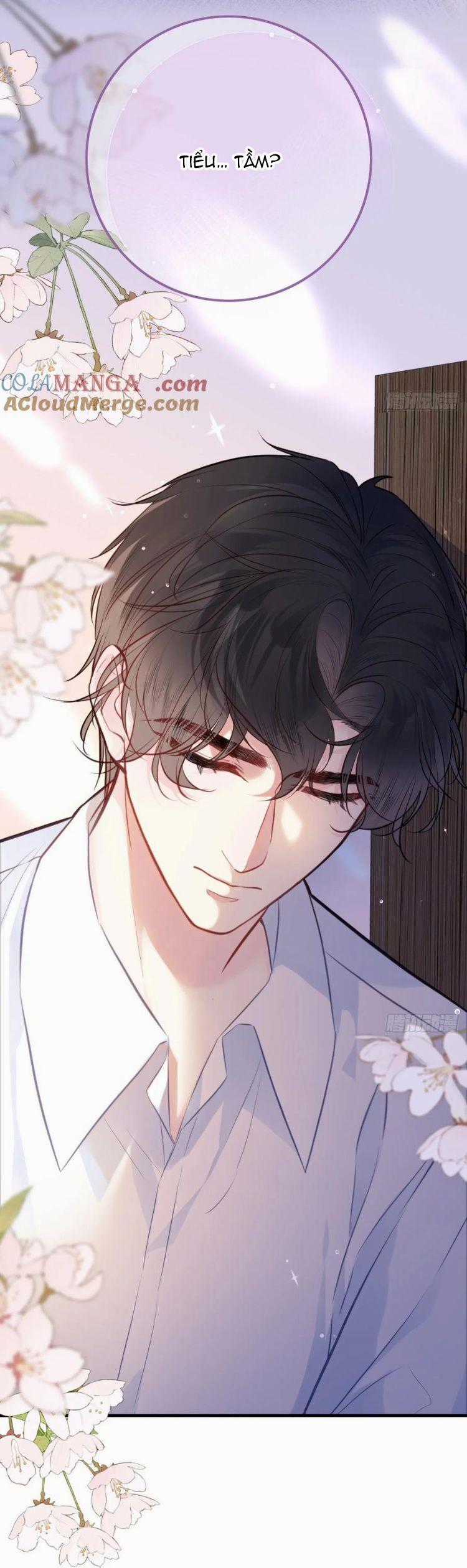 Anh Ấy Chưa Từng Rơi Xuống Chapter 89 trang 28