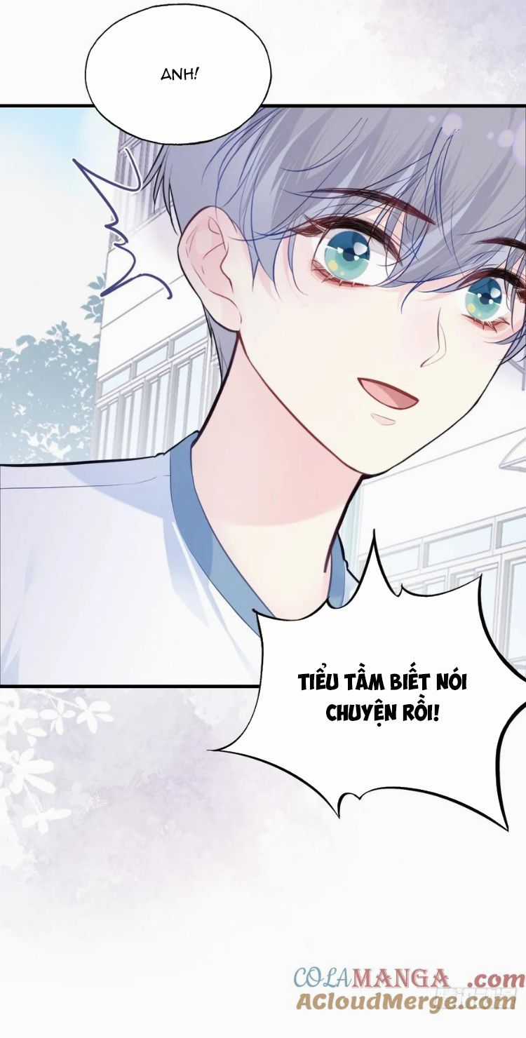 Anh Ấy Chưa Từng Rơi Xuống Chapter 89 trang 4