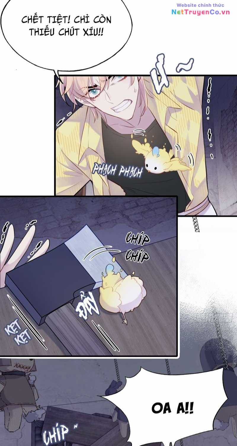 Anh Ấy Chưa Từng Rơi Xuống Chapter 9 trang 17