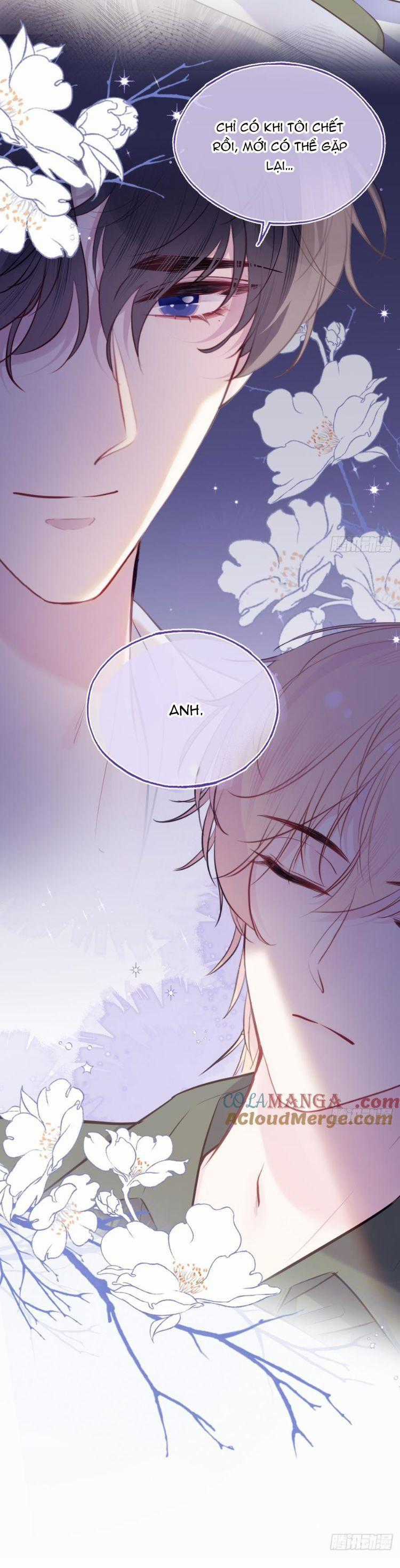 Anh Ấy Chưa Từng Rơi Xuống Chapter 90 trang 18