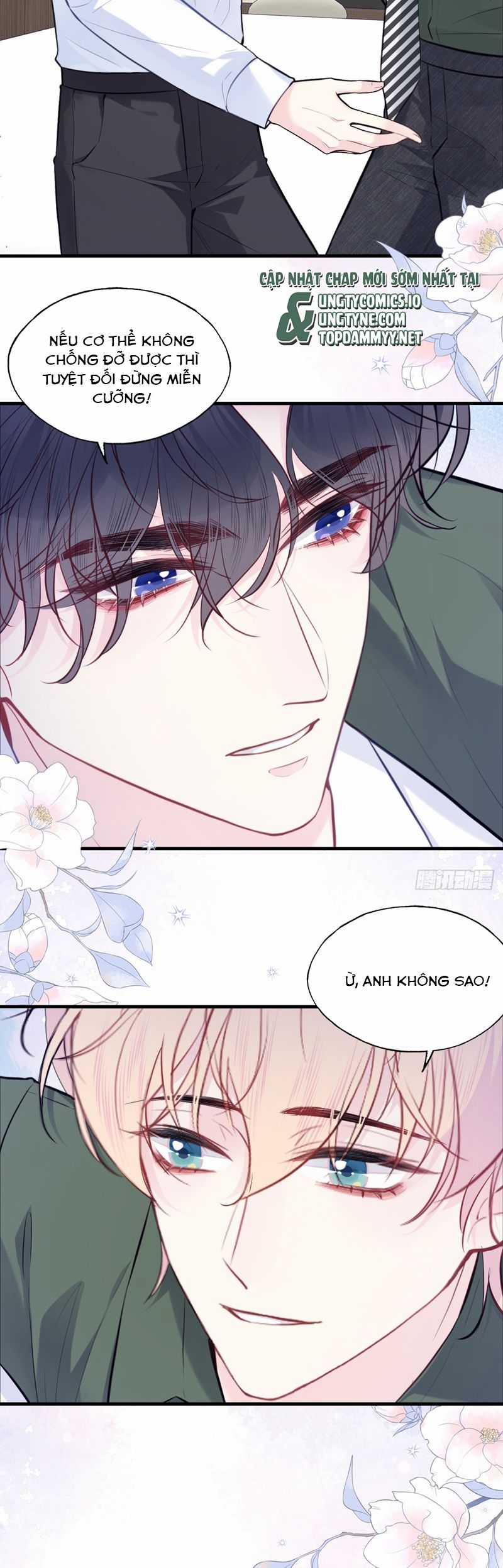 Anh Ấy Chưa Từng Rơi Xuống Chapter 94 trang 12