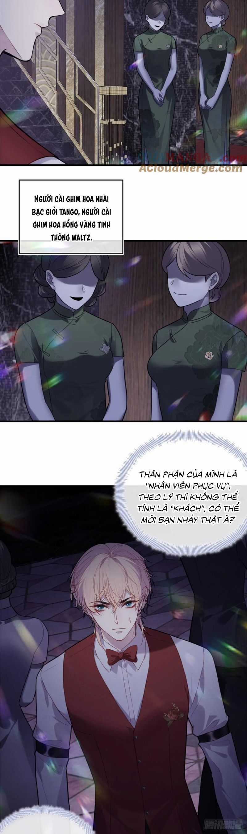 Anh Ấy Chưa Từng Rơi Xuống Chương 115 trang 11