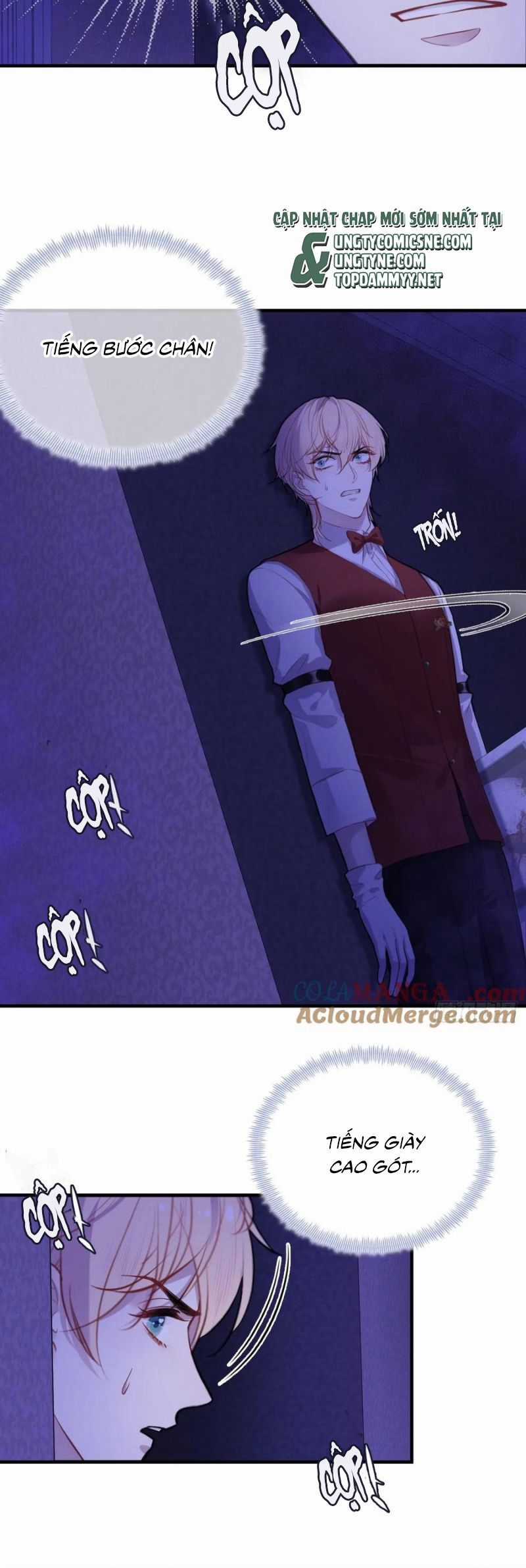 Anh Ấy Chưa Từng Rơi Xuống Chương 117 trang 13