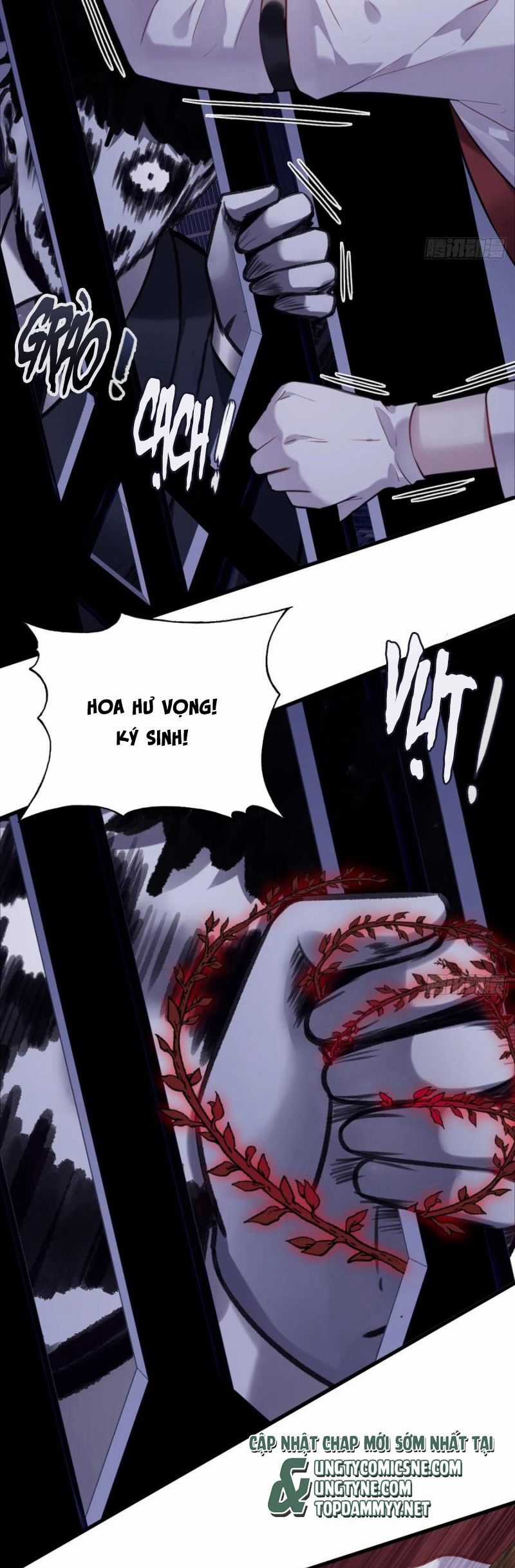 Anh Ấy Chưa Từng Rơi Xuống Chương 117 trang 5