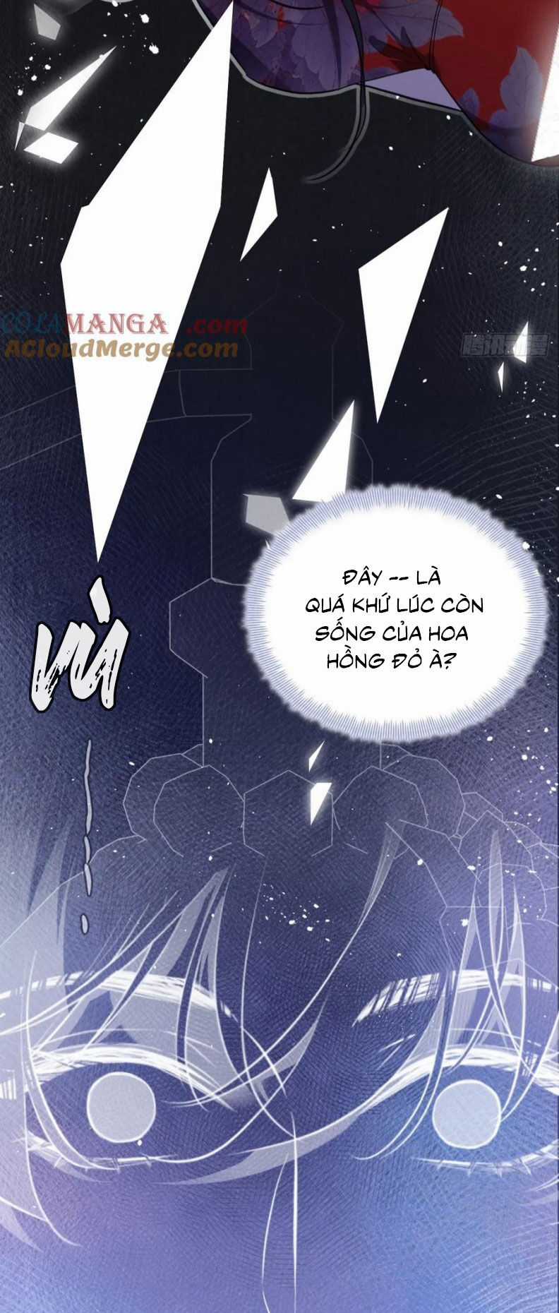 Anh Ấy Chưa Từng Rơi Xuống Chương 119 trang 21