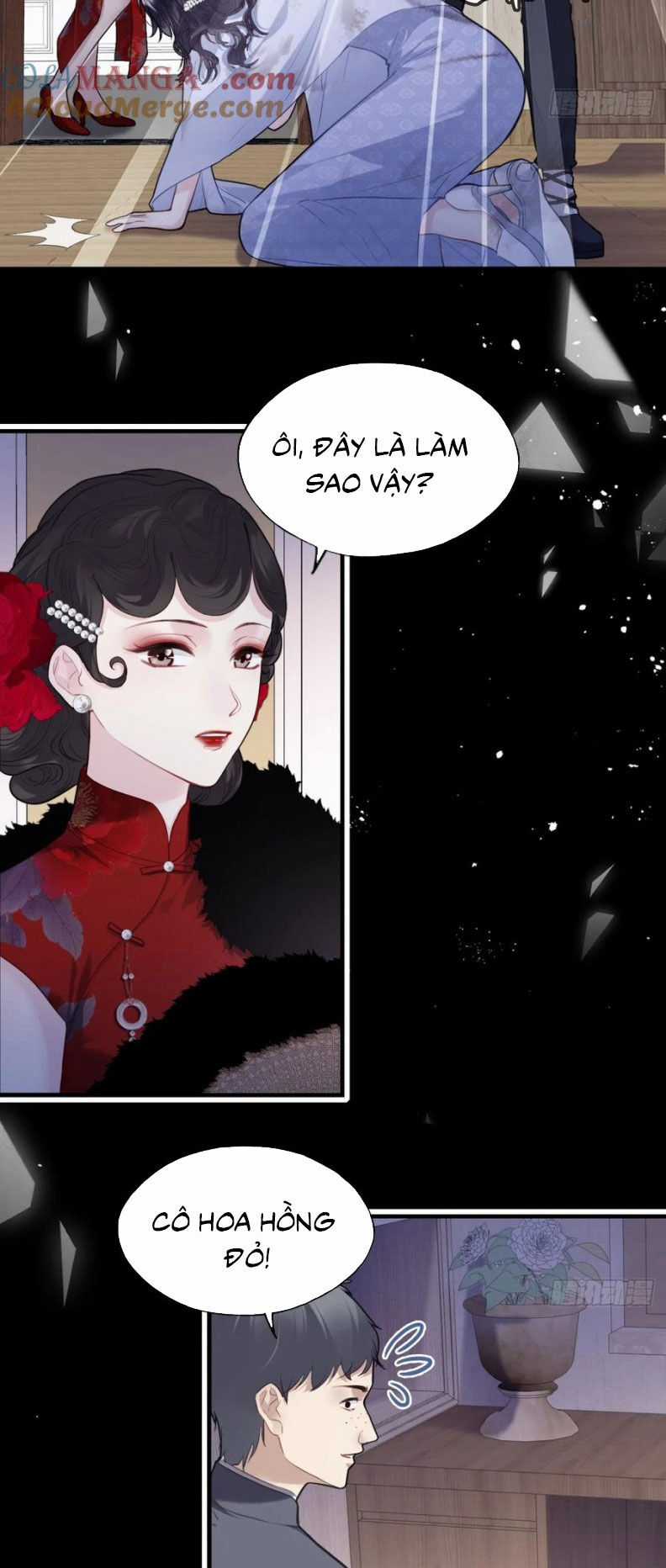 Anh Ấy Chưa Từng Rơi Xuống Chương 119 trang 4