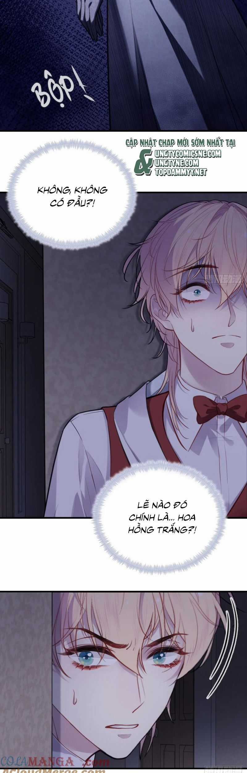 Anh Ấy Chưa Từng Rơi Xuống Chương 120 trang 24