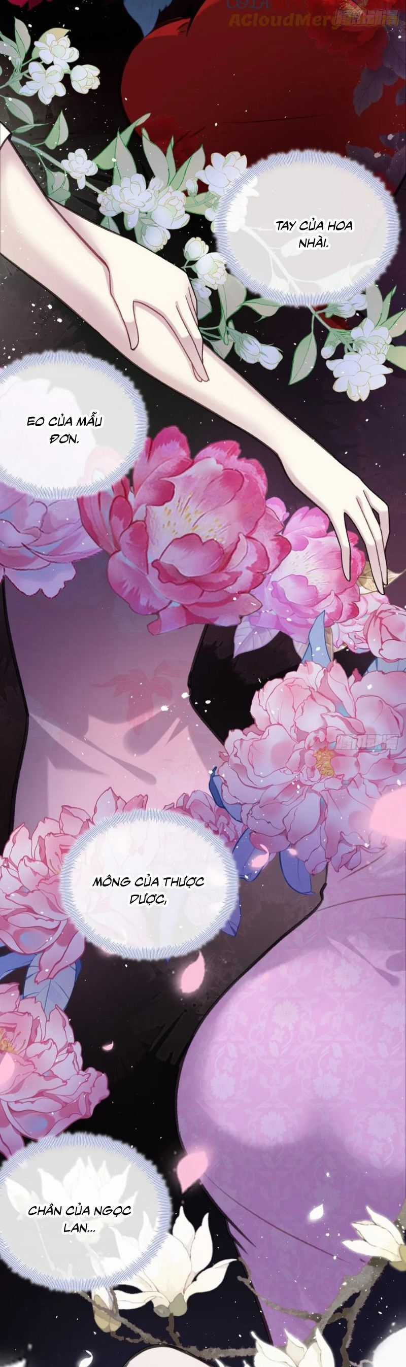 Anh Ấy Chưa Từng Rơi Xuống Chương 122 trang 21