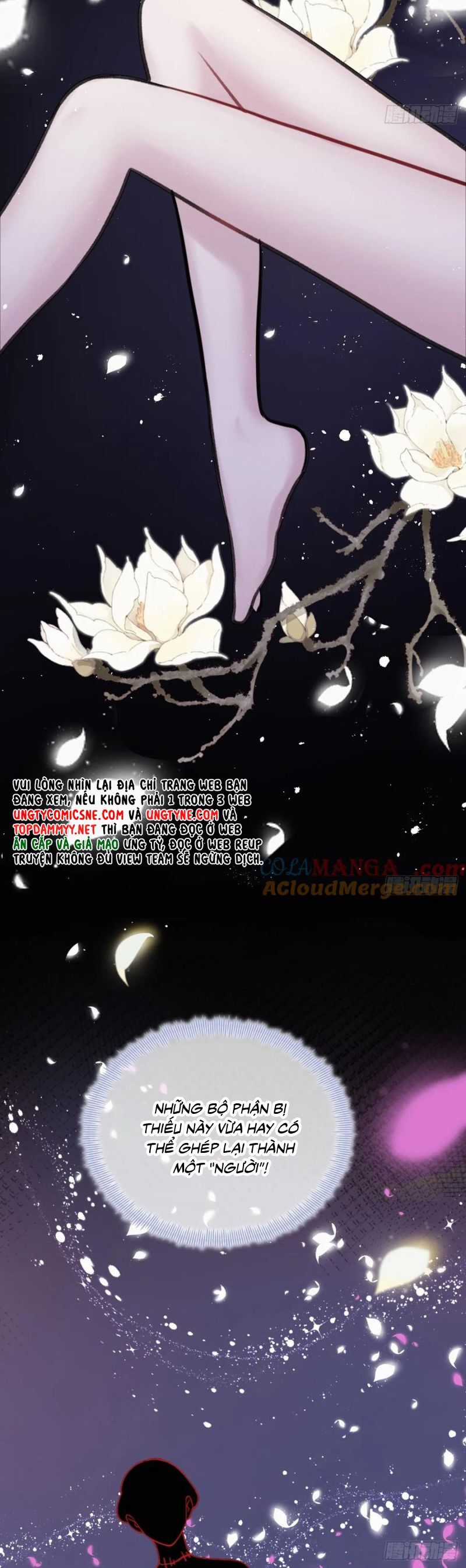 Anh Ấy Chưa Từng Rơi Xuống Chương 122 trang 22