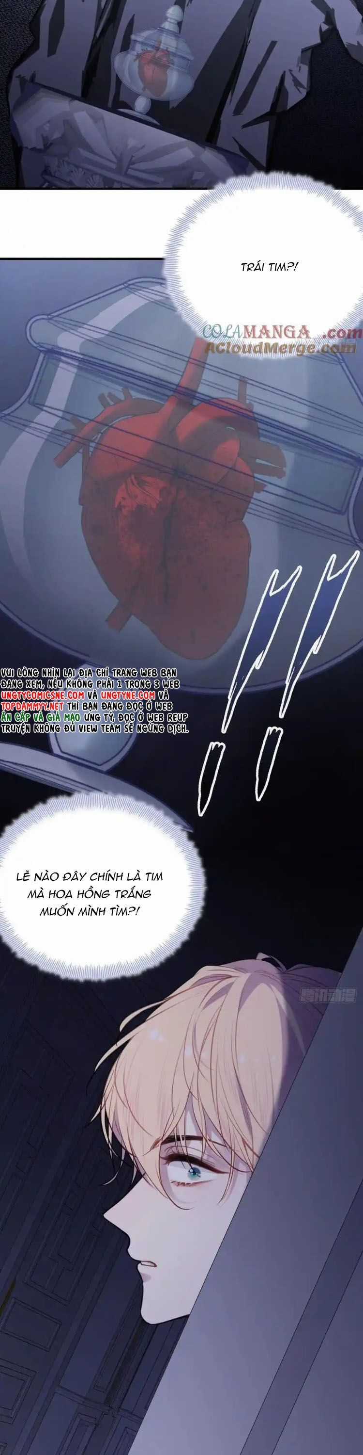 Anh Ấy Chưa Từng Rơi Xuống Chương 123 trang 6