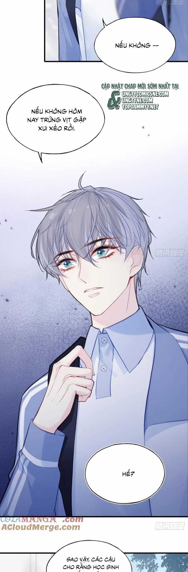 Anh Ấy Chưa Từng Rơi Xuống Chương 126 trang 4