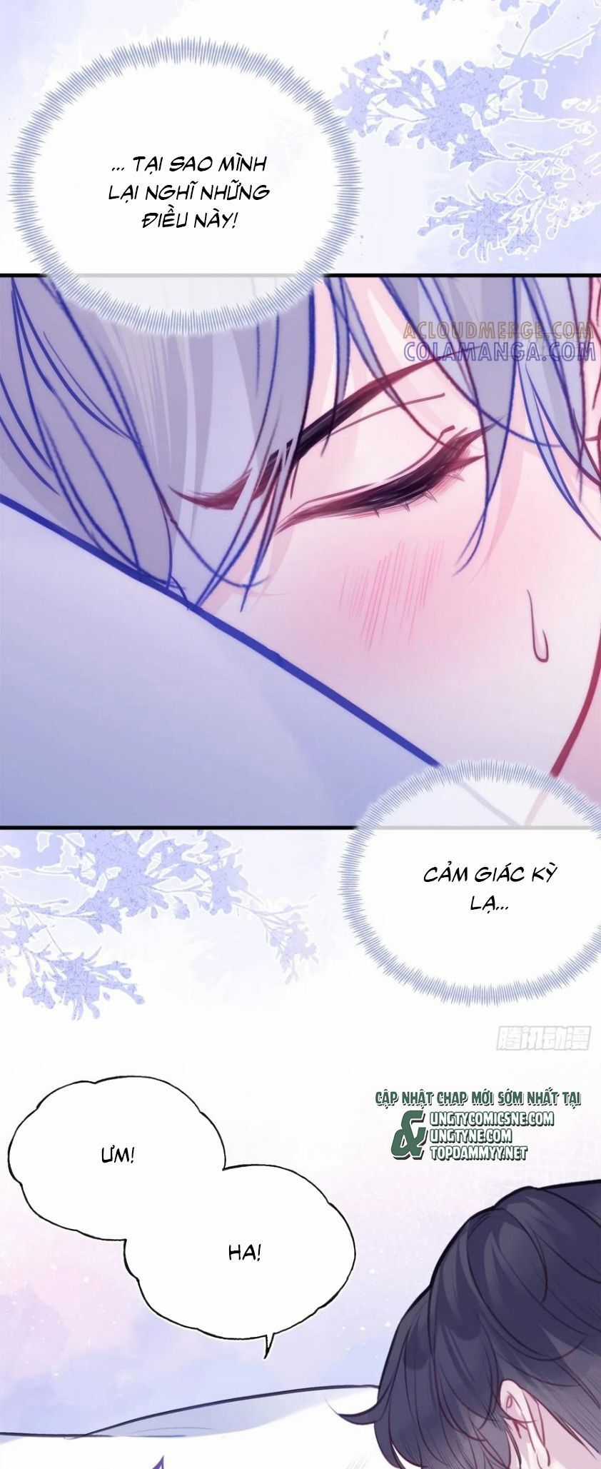 Anh Ấy Chưa Từng Rơi Xuống Chương 131 trang 16