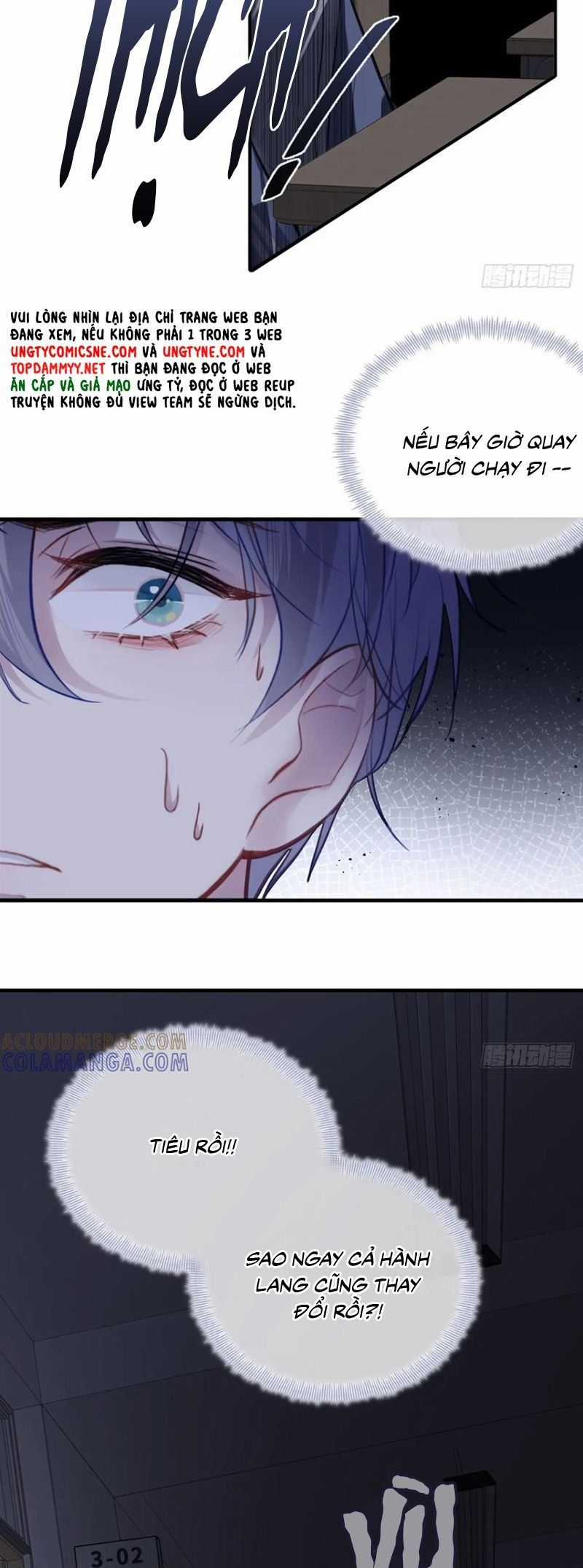 Anh Ấy Chưa Từng Rơi Xuống Chương 133 trang 5