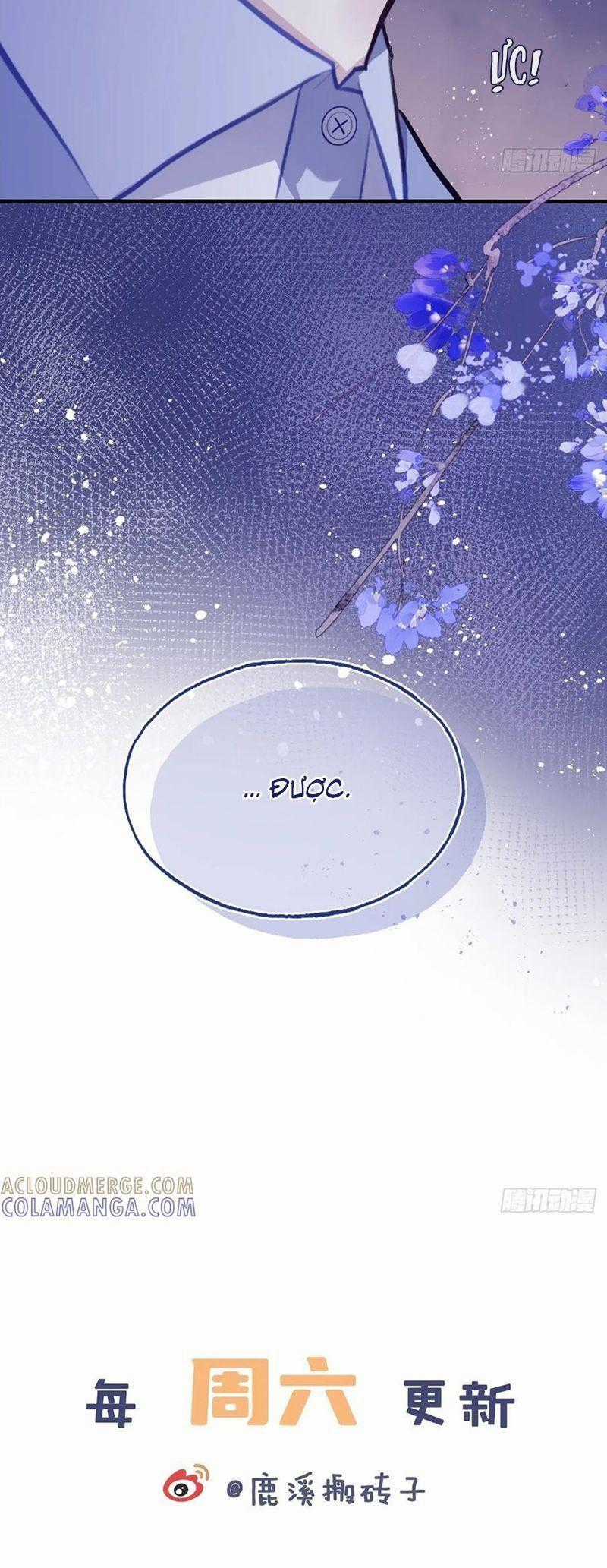 Anh Ấy Chưa Từng Rơi Xuống Chương 135 trang 33