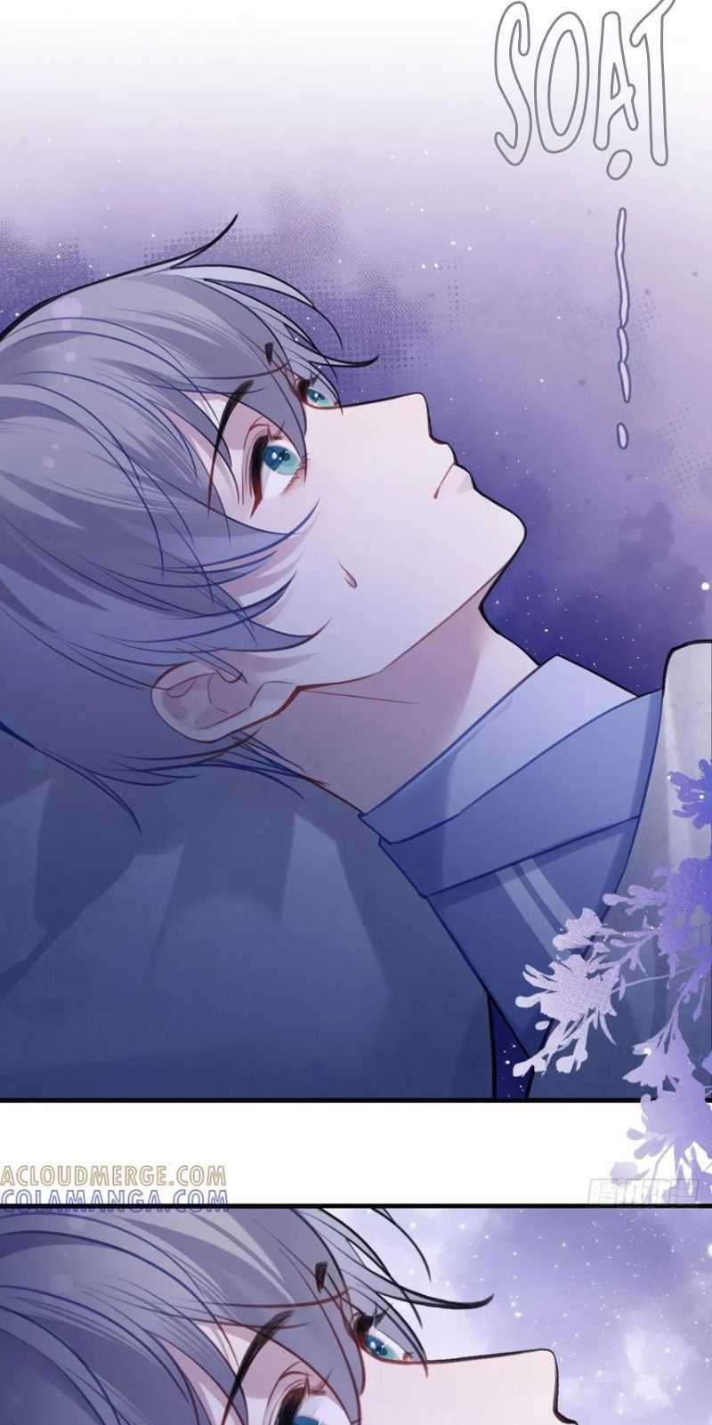 Anh Ấy Chưa Từng Rơi Xuống Chương 136 trang 7