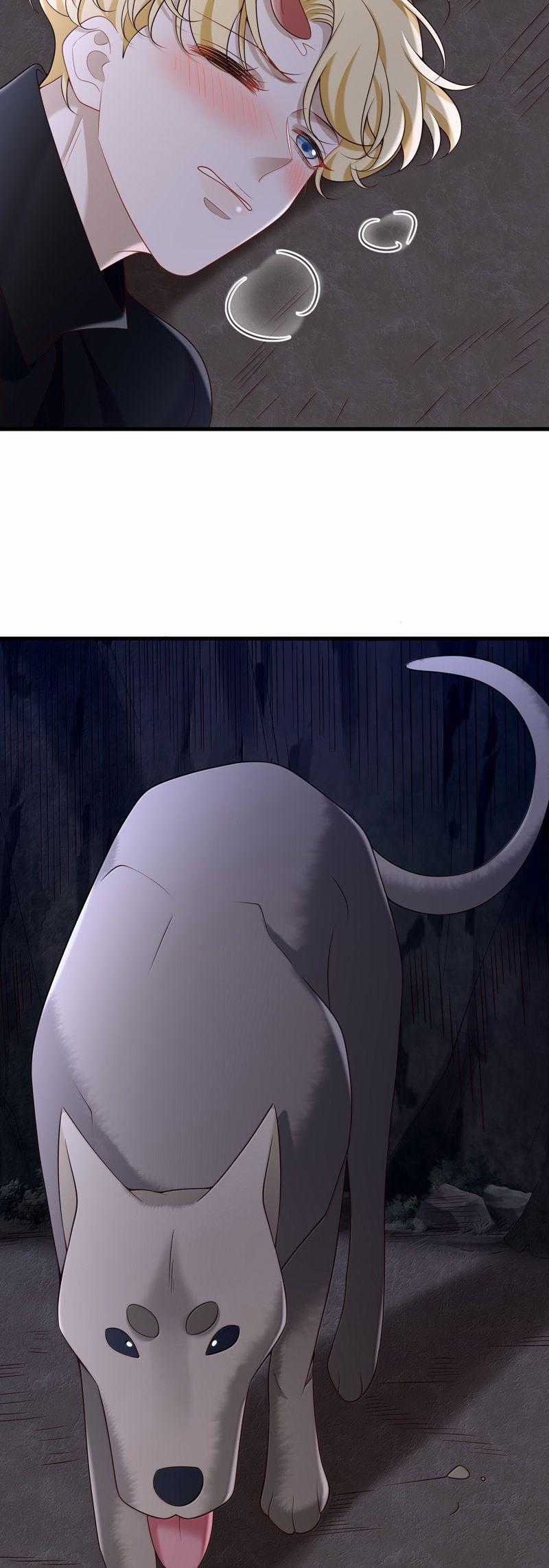 Anh Ấy Đến Từ Màn Đêm Chapter 77 trang 21