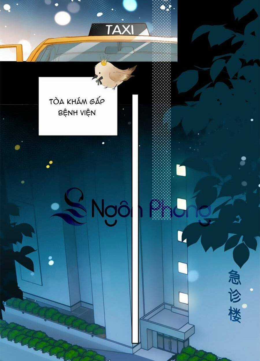 Anh Ấy Rất Hay Trêu Chọc Tôi Chapter 47 trang 11