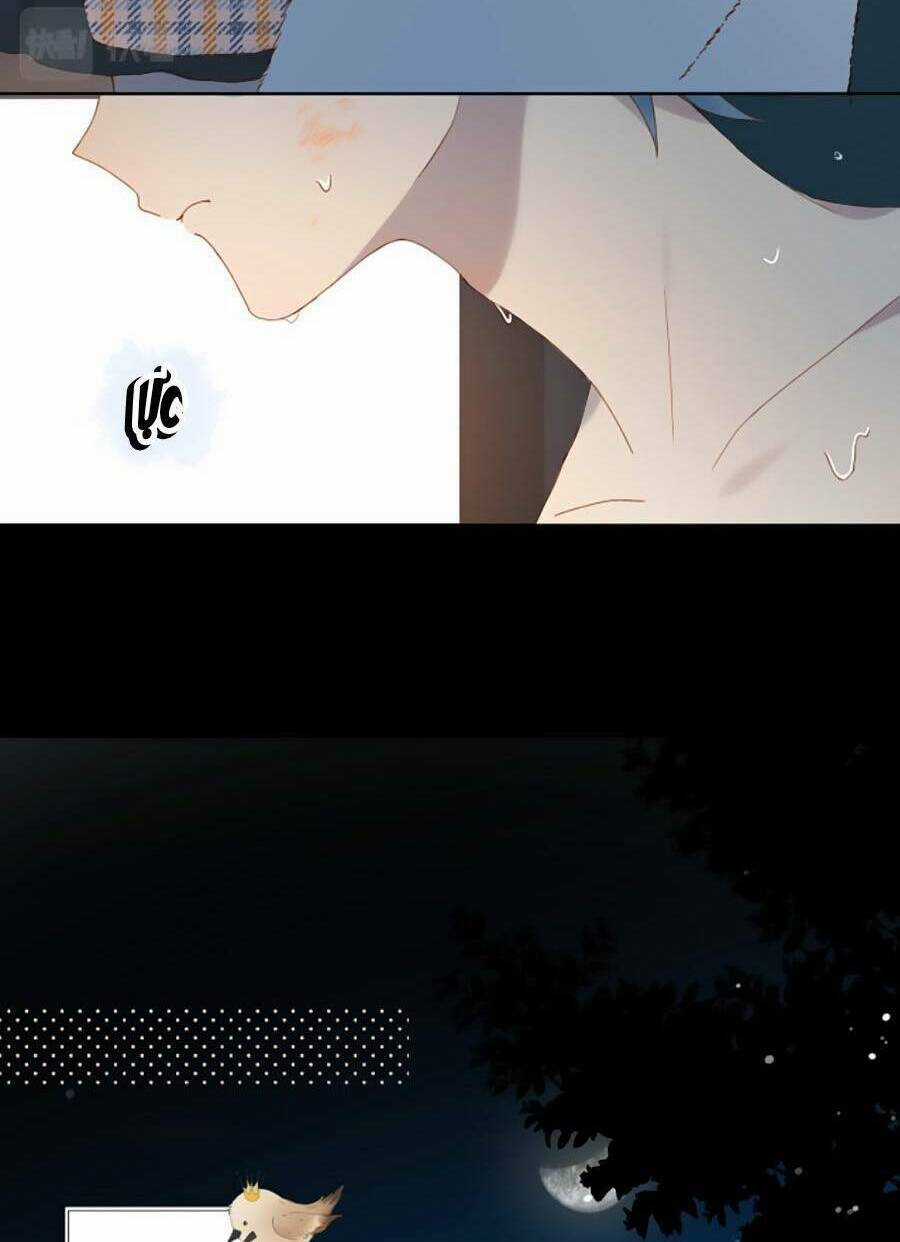 Anh Ấy Rất Hay Trêu Chọc Tôi Chapter 52 trang 22