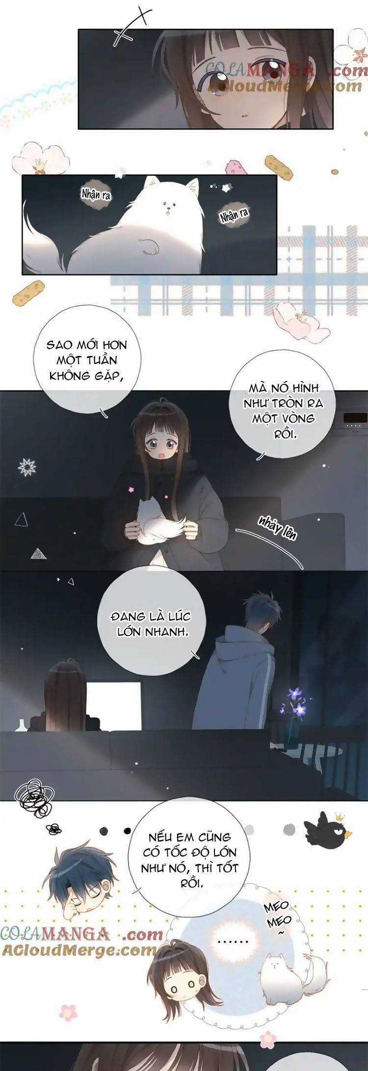 Anh Ấy Rất Hay Trêu Chọc Tôi Chapter 81 trang 12